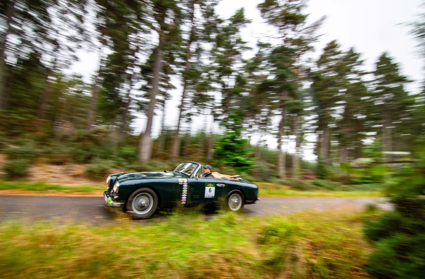 Hero Era Films Images Scottish Malts 2025 Hero Era